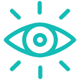 vision icon